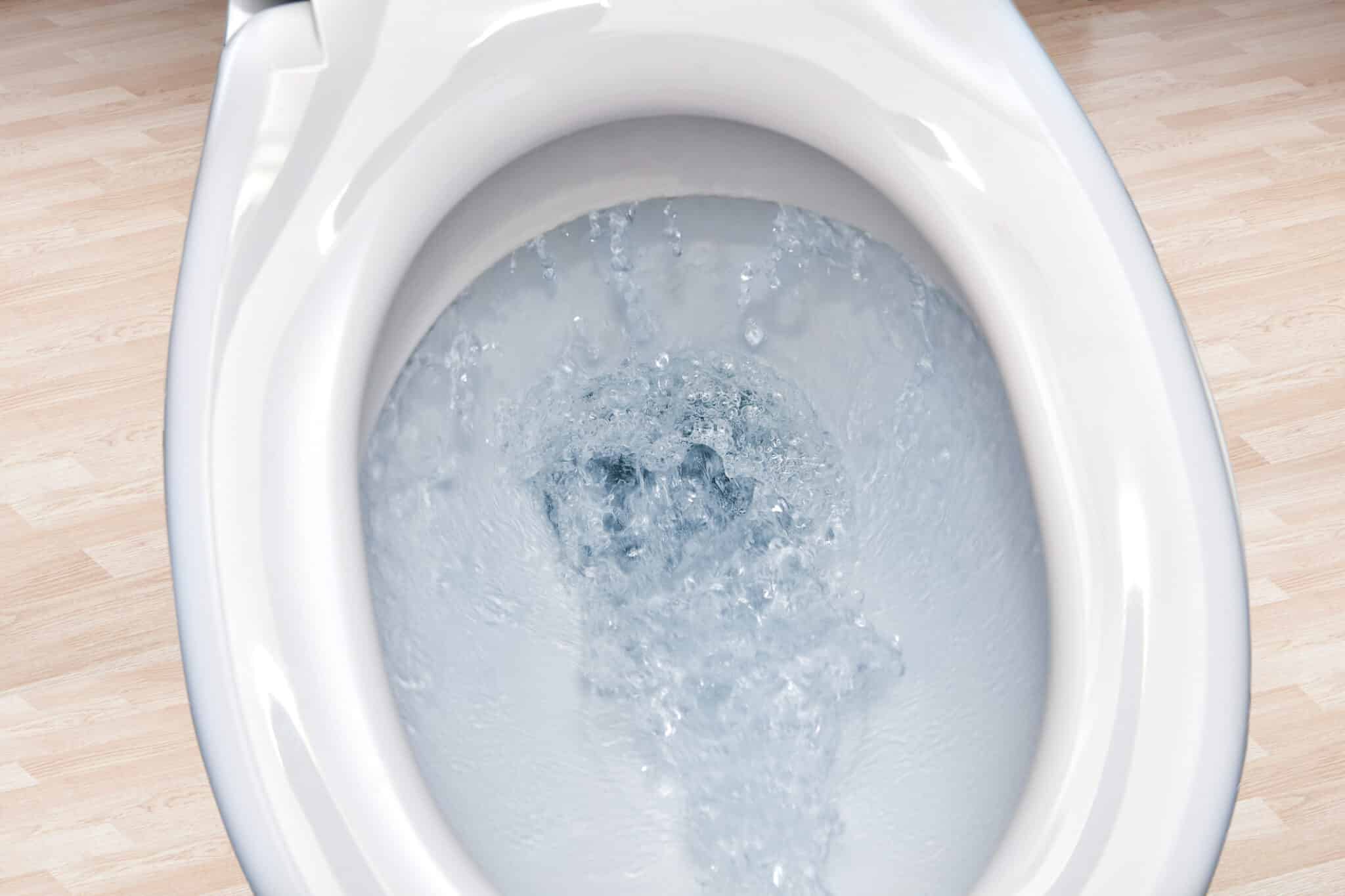Why Does My Toilet Keep Running? Florida